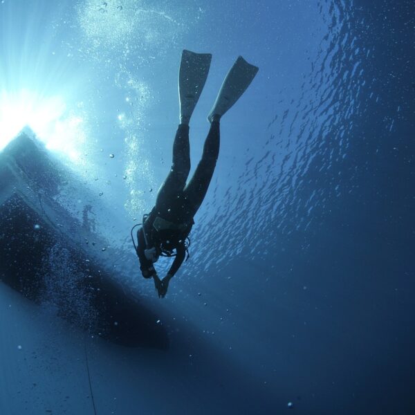 diving, divers, sea-1639964.jpg