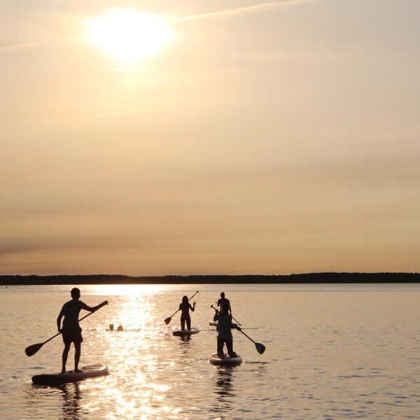 stand up paddeling, paddle, sunset-1645433.jpg