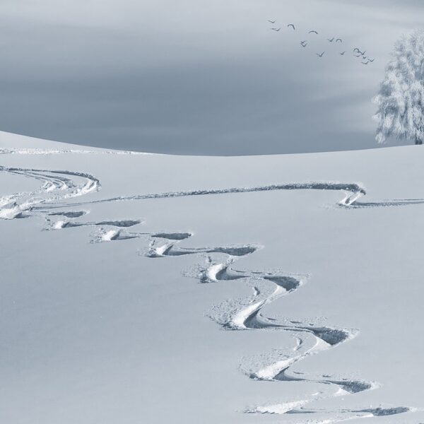 wintry, snow, backcountry skiiing-2068298.jpg